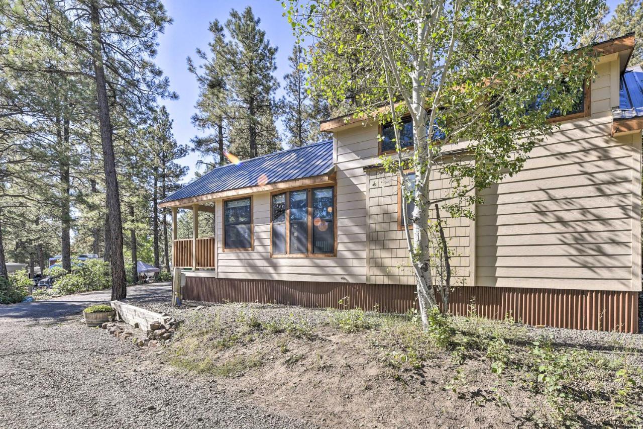 Roomy Pagosa Springs Tiny Cabin 1 Mi To Downtown 외부 사진